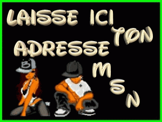 laisse ton msn